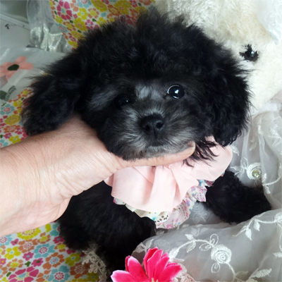 元気なおてんば娘