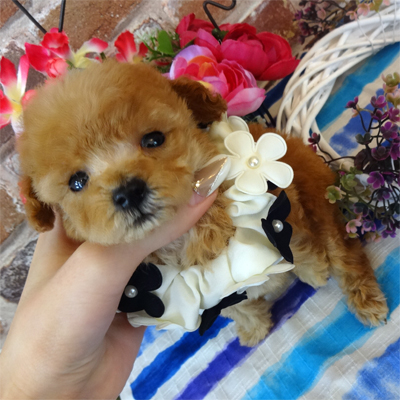 とっても甘えん坊な男の子