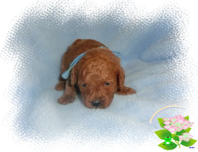 元気な可愛い子です