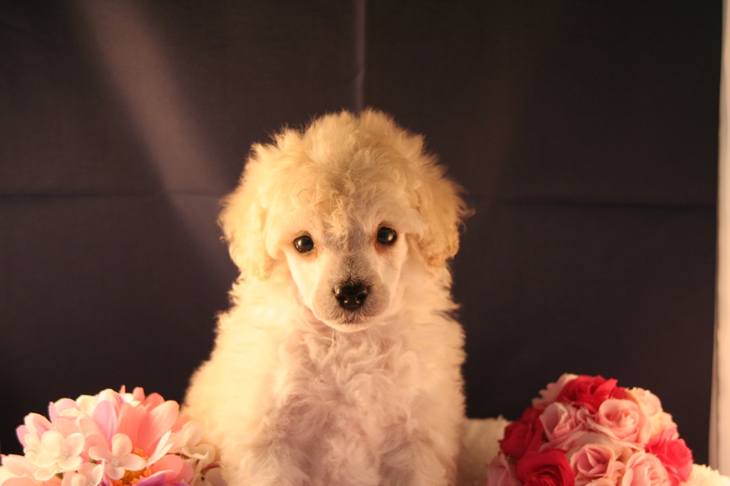 くっきりパッチリの女の子だよ〜♪♪♪