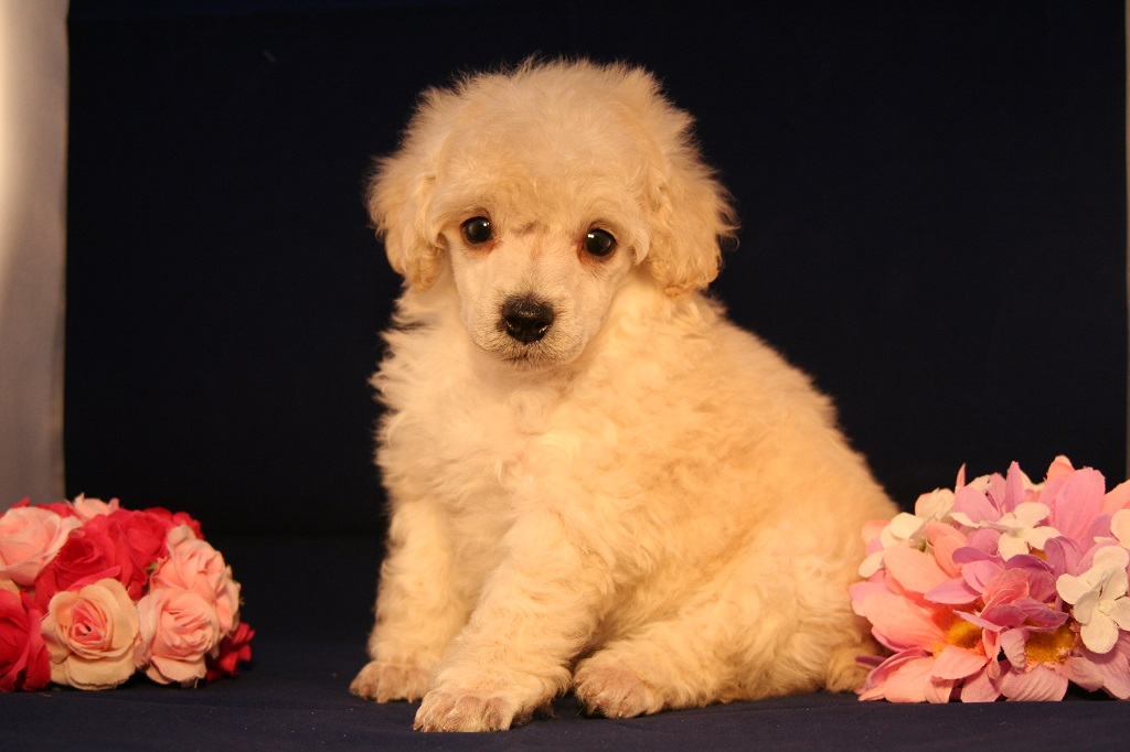 男の子らしく元気な子です